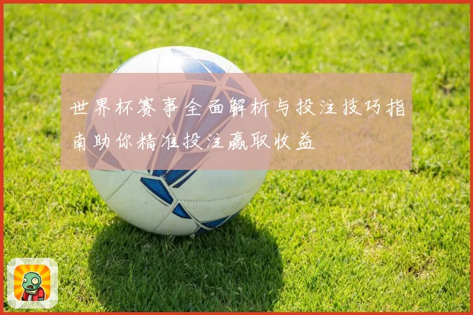 世界杯赛事全面解析与投注技巧指南助你精准投注赢取收益