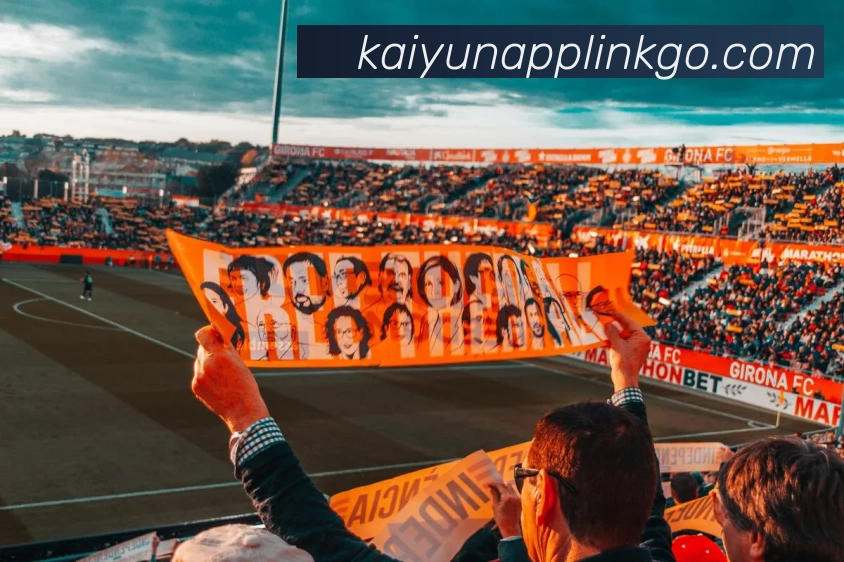 开云平台展示图